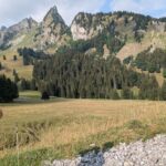 PXL_20260801_081124761
